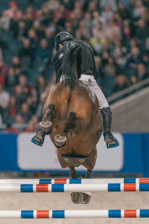 SOLNA, SWEDEN - NOV 27, 2016: Geir Gulliksen at the Friends Christmas Speed Jumping in the Sweden International Horse Show at Friends arena.のeditorial素材