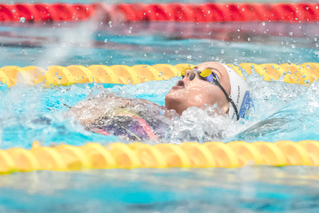STOCKHOLM, SWEDEN - NOV 6, 2016: Swimmers at the National Swedish swim competition at Eriksdalsbadet.のeditorial素材
