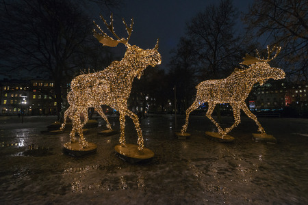 STOCKHOLM, SWEDEN - DEC 13, 2016: Group of Christmas moose made of led lights at Nybrokajenの写真素材