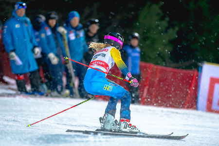 STOCKHOLM, SWEDEN, JAN 31, 2017: Frida Hansdotter (SWE) at the FIS Parallel slalom city event in Hammarbybacken, Stockholmのeditorial素材