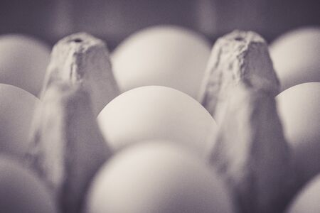 Closeup of eggs in a cardboard box. Sideviewのeditorial素材