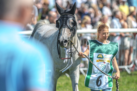 STOCKHOLM, SWEDEN - JUN 6, 2017: Horses in the vault at Nationaldagsgaloppen at Gardet.のeditorial素材