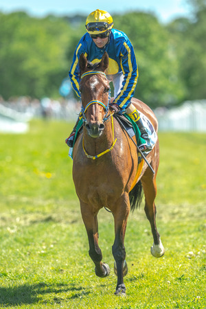 STOCKHOLM, SWEDEN - JUN 6, 2017: Jockey and racehorse at Nationaldagsgaloppen at Gardet.のeditorial素材