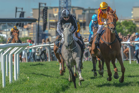 STOCKHOLM, SWEDEN - JUN 6, 2017: Horses with jockeys out of a curve in fast pace at Nationaldagsgaloppen at Gardet.のeditorial素材
