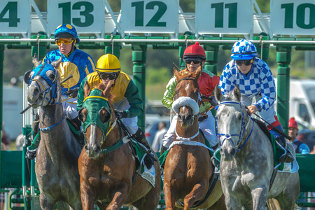 STOCKHOLM, SWEDEN - JUN 6, 2017: Start sequence with fast horses and jockeys at Nationaldagsgaloppen at Gardet.のeditorial素材