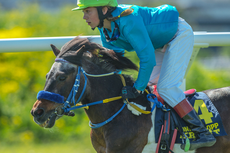 STOCKHOLM, SWEDEN - JUN 6, 2017: Pony race at Nationaldagsgaloppen at Gardet.のeditorial素材
