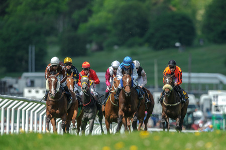 STOCKHOLM, SWEDEN - JUN 6, 2017: Row of horses with jockeys at the straight in fast pace at Nationaldagsgaloppen at Gardet.のeditorial素材