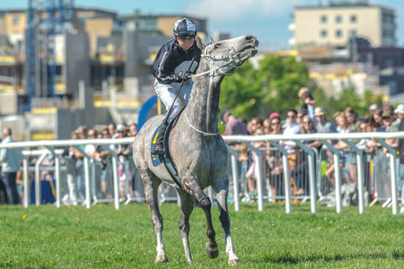 STOCKHOLM, SWEDEN - JUN 6, 2017: Jockey and racehorse at Nationaldagsgaloppen at Gardet.のeditorial素材