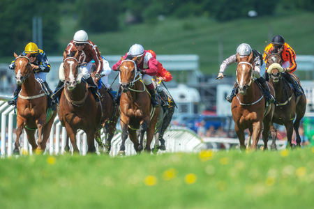STOCKHOLM, SWEDEN - JUN 6, 2017: Row of horses with jockeys at the straight in fast pace at Nationaldagsgaloppen at Gardet.のeditorial素材
