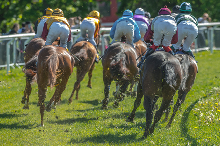 STOCKHOLM, SWEDEN - JUN 6, 2017: Back of horses with jockeys out of a curve in fast pace at Nationaldagsgaloppen at Gardet.のeditorial素材