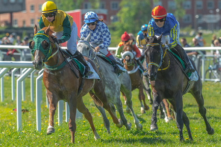 STOCKHOLM, SWEDEN - JUN 6, 2017: Horses with jockeys out of a curve in fast pace at Nationaldagsgaloppen at Gardet.のeditorial素材
