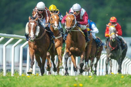 STOCKHOLM, SWEDEN - JUN 6, 2017: Row of horses with jockeys at the straight in fast pace at Nationaldagsgaloppen at Gardet.のeditorial素材