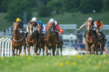 STOCKHOLM, SWEDEN - JUN 6, 2017: Row of horses with jockeys at the straight in fast pace at Nationaldagsgaloppen at Gardet.のeditorial素材
