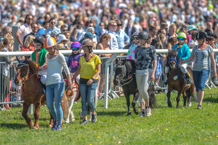 STOCKHOLM, SWEDEN - JUN 6, 2017: Horses in the vault at the pony race at Nationaldagsgaloppen at Gardet.のeditorial素材