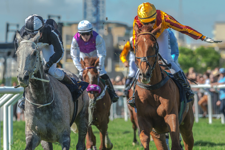 STOCKHOLM, SWEDEN - JUN 6, 2017: Horses with jockeys out of a curve in fast pace at Nationaldagsgaloppen at Gardet.のeditorial素材