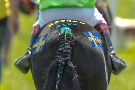 STOCKHOLM, SWEDEN - JUN 6, 2017: Decorated horse at the pony race competion at Nationaldagsgaloppen at Gardet.のeditorial素材