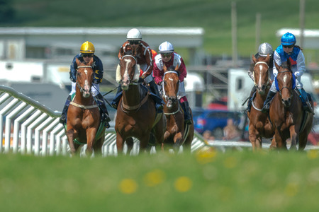 STOCKHOLM, SWEDEN - JUN 6, 2017: Horses with jockeys out of a curve in fast pace at Nationaldagsgaloppen at Gardet.のeditorial素材