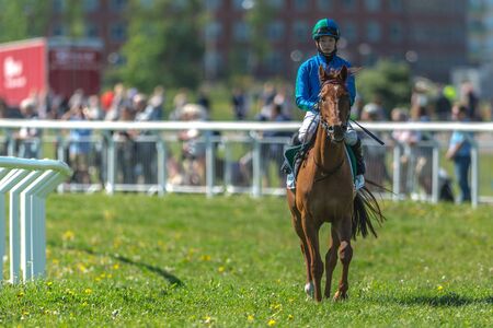 STOCKHOLM, SWEDEN - JUN 6, 2017: Jockey and racehorse at Nationaldagsgaloppen at Gardet.のeditorial素材