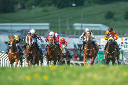 STOCKHOLM, SWEDEN - JUN 6, 2017: Row of horses with jockeys at the straight in fast pace at Nationaldagsgaloppen at Gardet.のeditorial素材