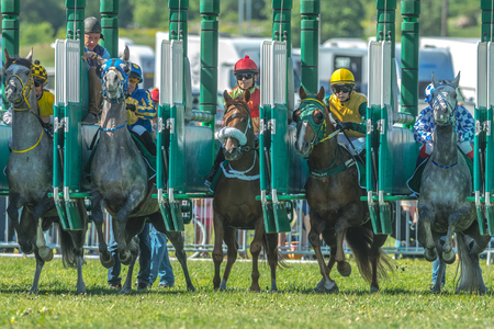 STOCKHOLM, SWEDEN - JUN 6, 2017: Start sequence with fast horses and jockeys at Nationaldagsgaloppen at Gardet.のeditorial素材
