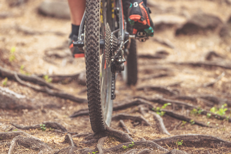 TULLINGE, SWEDEN - JUN 11, 2017: Detail of back wheel over roots in forest at the mountainbike event Lida Loop in the forests outside of Stockholm. Filter appliedのeditorial素材