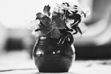 Small decorative flowerpot with small summer flowers in vintage look. Black and whiteの写真素材