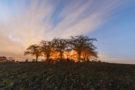 Woodland cemetery lit up by candles during sunset with a blue sky with light clouds. Skogskyrkogarden, Stockholm during all saints night 4th ov November.の写真素材