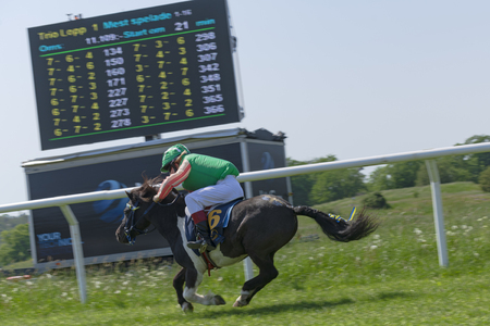 STOCKHOLM, SWEDEN - JUNE 6, 2019: Pony racing during sunny weather at Nationaldags Galoppen in Gardet field in the middle of Stockholm.のeditorial素材