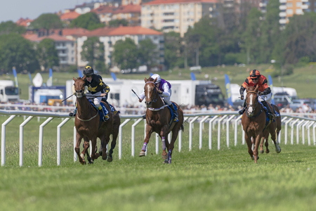 STOCKHOLM, SWEDEN - JUNE 6, 2019: Horse racing during sunny weather at Nationaldags Galoppen in Gardet field in the middle of Stockholm.のeditorial素材