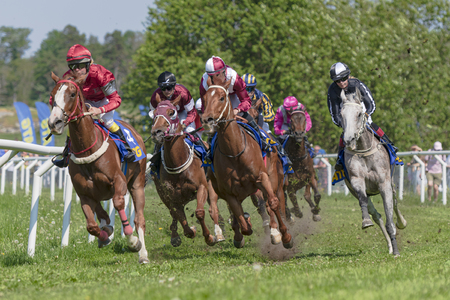 STOCKHOLM, SWEDEN - JUNE 6, 2019: Horseracing during sunny weather at Nationaldagsgaloppen at Gardet, Stockholm.のeditorial素材