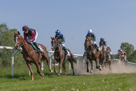 STOCKHOLM, SWEDEN - JUNE 6, 2019: Horseracing during sunny weather at Nationaldagsgaloppen at Gardet, Stockholm.のeditorial素材