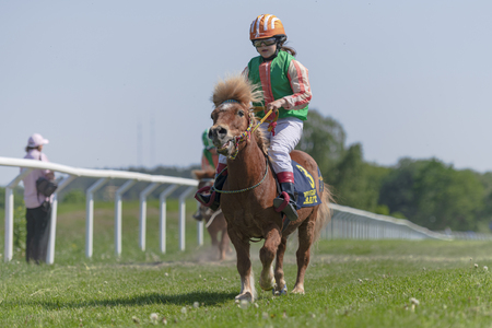 STOCKHOLM, SWEDEN - JUNE 6, 2019: Ponnyracing during sunny weather at Nationaldagsgaloppen at Gardet, Stockholm.のeditorial素材
