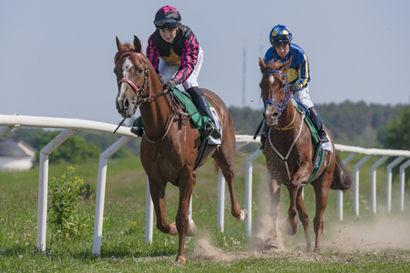 STOCKHOLM, SWEDEN - JUNE 6, 2019: Horseracing during sunny weather at Nationaldagsgaloppen at Gardet, Stockholm.のeditorial素材