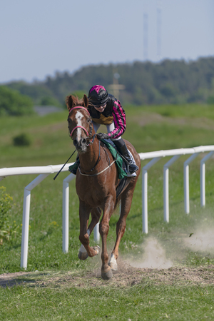 STOCKHOLM, SWEDEN - JUNE 6, 2019: Horseracing during sunny weather at Nationaldagsgaloppen at Gardet, Stockholm.のeditorial素材