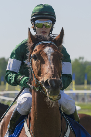 STOCKHOLM, SWEDEN - JUNE 6, 2019: Horseracing during sunny weather at Nationaldagsgaloppen at Gardet, Stockholm.のeditorial素材