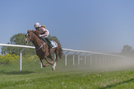 STOCKHOLM, SWEDEN - JUNE 6, 2019: Horseracing during sunny weather at Nationaldagsgaloppen at Gardet, Stockholm.のeditorial素材