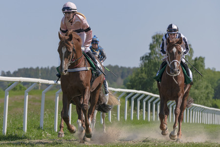 STOCKHOLM, SWEDEN - JUNE 6, 2019: Horseracing during sunny weather at Nationaldagsgaloppen at Gardet, Stockholm.のeditorial素材