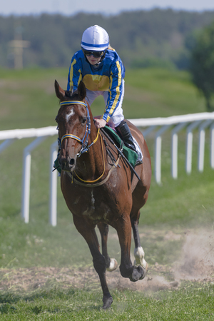 STOCKHOLM, SWEDEN - JUNE 6, 2019: Horseracing during sunny weather at Nationaldagsgaloppen at Gardet, Stockholm.のeditorial素材