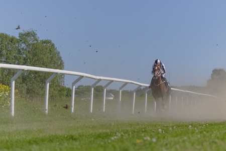 STOCKHOLM, SWEDEN - JUNE 6, 2019: Horseracing during sunny weather at Nationaldagsgaloppen at Gardet, Stockholm.のeditorial素材