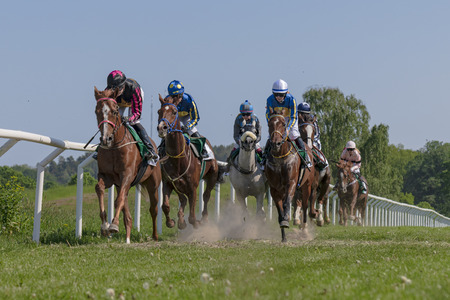 STOCKHOLM, SWEDEN - JUNE 6, 2019: Horseracing during sunny weather at Nationaldagsgaloppen at Gardet, Stockholm.のeditorial素材