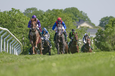 STOCKHOLM, SWEDEN - JUNE 6, 2019: Horseracing during sunny weather at Nationaldagsgaloppen at Gardet, Stockholm.のeditorial素材