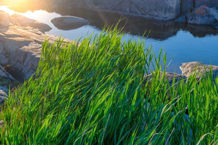 Baltic sea shoreline during a sunny morning, granite rocks and stones with green grass. Sweden