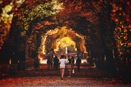 VIENNA, AUSTRIA, OCTOBER 24, 2019: People enyoying the beautiful tree tunnel during autumn at Schonbrunn palace. Vividのeditorial素材