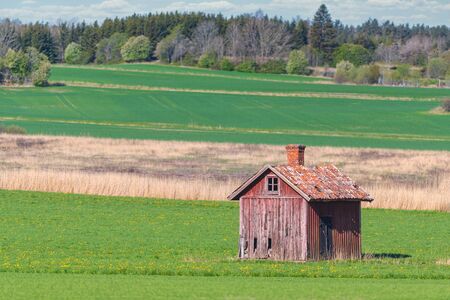 Abandoned wooden storage barn in red worn colors in a green cropfield with forest in the background. Summer and colorfulの写真素材