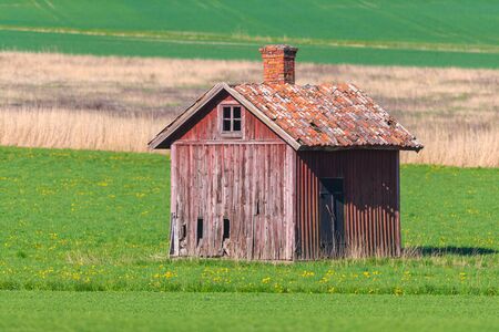 Abandoned wooden storage barn in red worn colors in a green cropfield with forest in the background. Summer and colorfulの写真素材