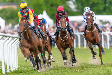 STOCKHOLM, SWEDEN - JUNE 6, 2022: Racinghorses with jockeys out of a curve at the Nationaldagsgaloppen in Stockholm.のeditorial素材