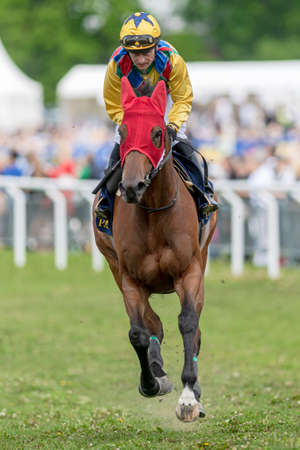 STOCKHOLM, SWEDEN - JUNE 6, 2022: Racinghorse with jockey at the Nationaldagsgaloppen in Stockholm.のeditorial素材