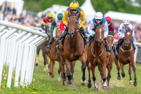 STOCKHOLM, SWEDEN - JUNE 6, 2022: Racinghorses with jockeys out of a curve at the Nationaldagsgaloppen in Stockholm.のeditorial素材