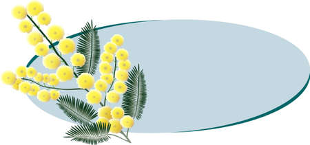 A bunch of mimosa blossoms on a light blue ellipse with copy space on the right sideのイラスト素材