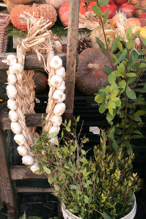 A string of garlic with other herbs and pumpkins in background at a farmer marketの写真素材